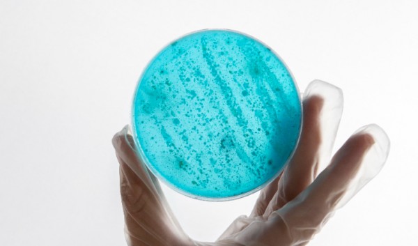Farmacêutico da USP desenvolve ferramenta que promete identificar bactérias em segundos