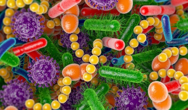 Antimicrobiano Gram-negativo seletivo que preserva o microbioma intestinal