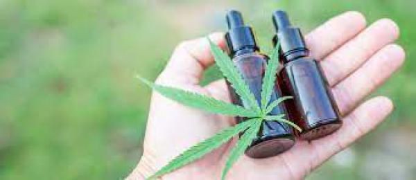Anvisa autoriza mais três produtos derivados de Cannabis